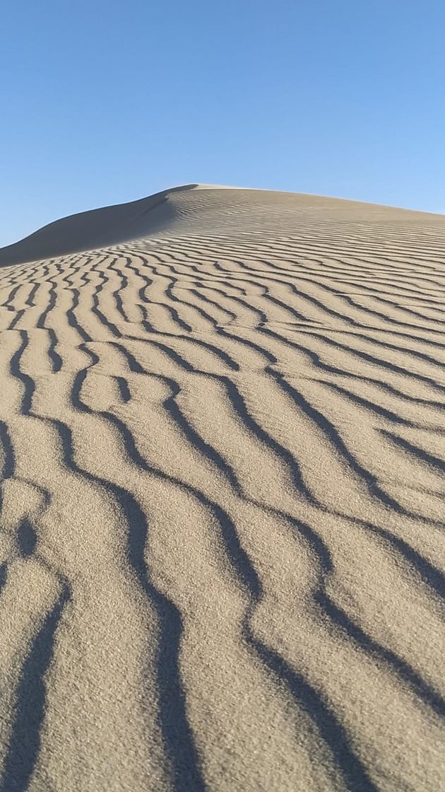 Sand dunes